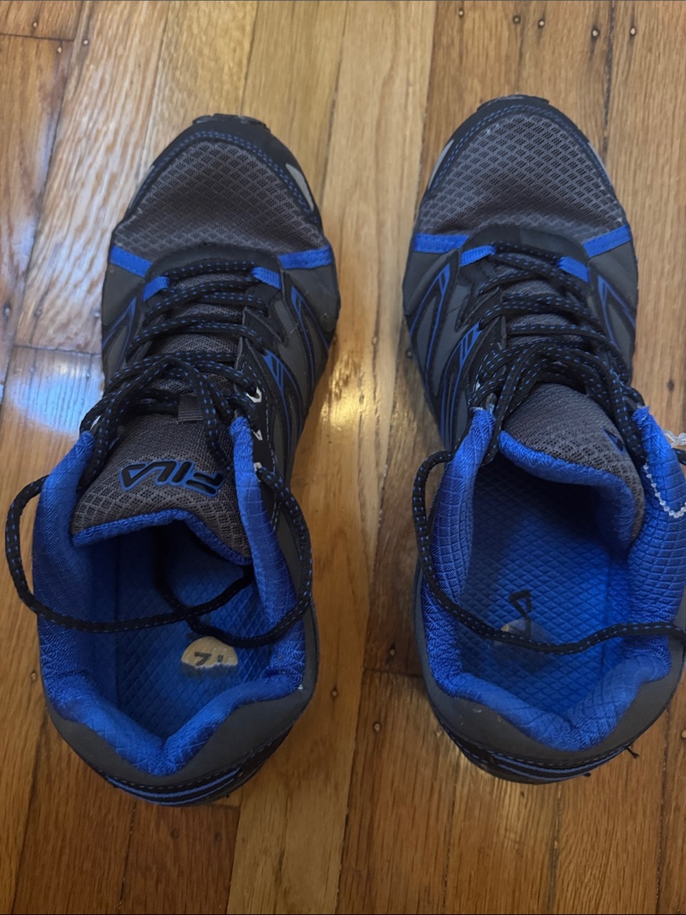 Fila Men's Gray and Royal Blue Running Shoes